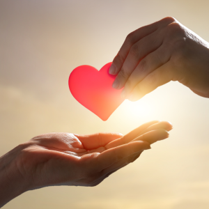 Doação de Órgãos e Religião: Reflexões e Perspectivas