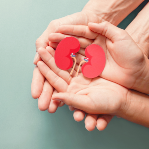 A Rede de Apoio ao Transplantado: Grupos, Organizações e Profissionais que Ajudam